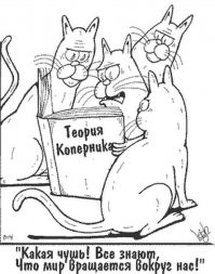 15 угарных снимков, доказывающих, что с котиками не соскучишься  