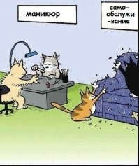 15 угарных снимков, доказывающих, что с котиками не соскучишься  