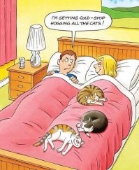 15 угарных снимков, доказывающих, что с котиками не соскучишься  