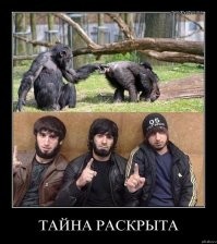 Понты не довели до добра