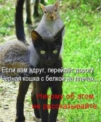 С пятницей, только аккуратненько