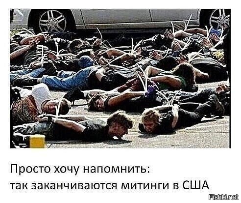 Этадругое! Вы что, не видите: там тепло, можно и на земле полежать! ))