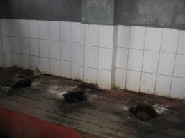 Смешные и познавательные картинки