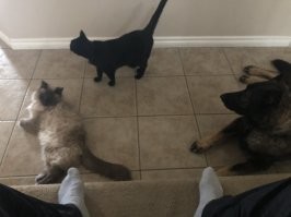 Разбор полетов.  Самый старый орал после 23:00. Доложила старшая по ночной вахте. :)