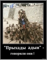 Понты не довели до добра