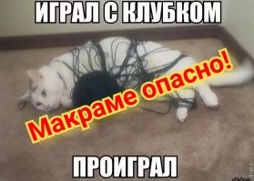 Что за штука: самые странные находки