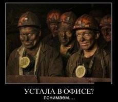 Смешные и познавательные картинки