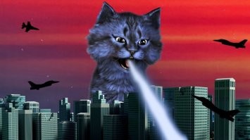 Мастер фотошопа показал, каким станет мир, если его захватят коты