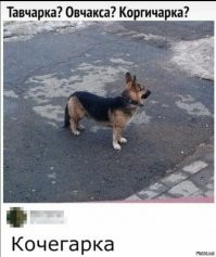 Картинки с надписями