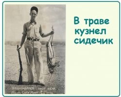 Весёлые картинки