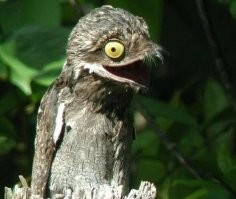 Утром после «торжества»