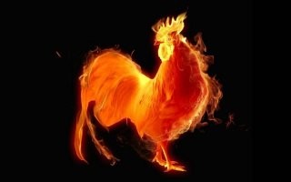 Привет долгоносику.