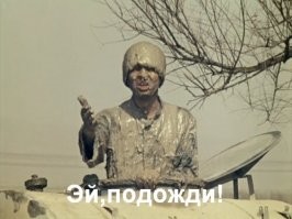 На шасси самолёта до Нидерландов