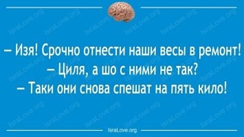 В шутку и всерьез о лишнем весе и диете
