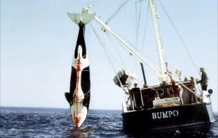 Смерть среди айсбергов