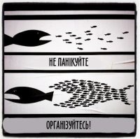 Молодцы "простые американцы"!!! Организовались и поимели "акул Уолл- стрита". Для нас, россиян, пример к грамотному объединению против плешивой крысы!!!