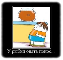 Коричневый налет в аквариуме: причины появления и способы устранения