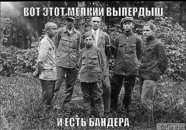 О политике и не только