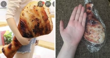 Интересно, от какого животного покупатель ожидал ляшечку, от динозавра?