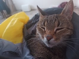 На удаленке свои плюсы)