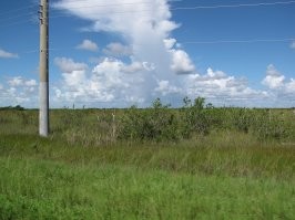 Нет, нормально (ну или терпимо)). Правда когда ливни летом, то даже в машине невозможно ехать - просто не видно дороги. И что удивительно, пейзаж у дороги часто напоминает среднюю полосу России, когда нет пальм поблизости ) Что то типа такого (по дороге на Ки-Вест).
