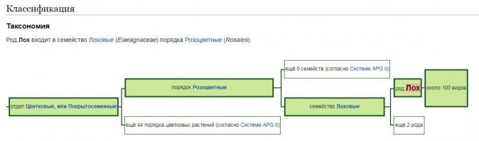 Бои в UFC превращаются в фарс