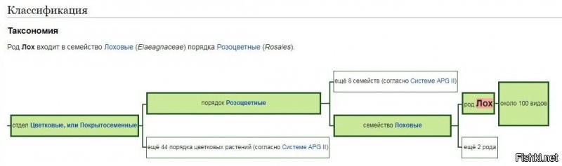 Бои в UFC превращаются в фарс