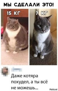 В шутку и всерьез о лишнем весе и диете