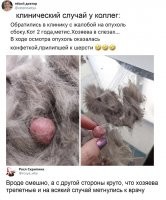 Очень рад и за хозяев, и особенно за котейку.
Живи долго и не болей!!!