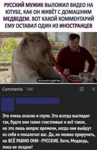 Неожиданный финал