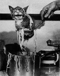 Пробу сними.