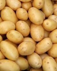 Крейсер «без носа» — USS New Orleans