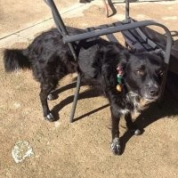 играл со стулом. стул выиграл