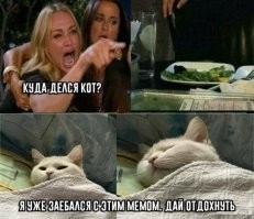Убойные мемы с котом, которые зарядят позитивом
