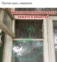 Смекалка в действии