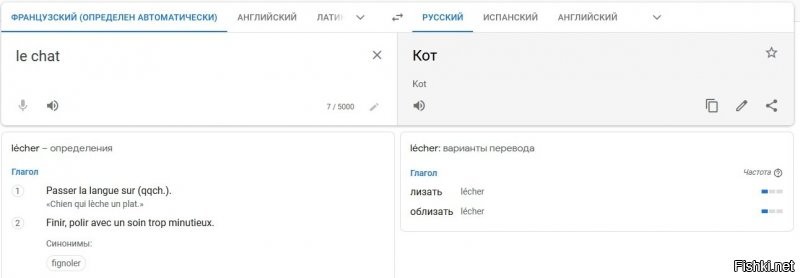 Смешные комментарии: искренние, забавные и жизненные