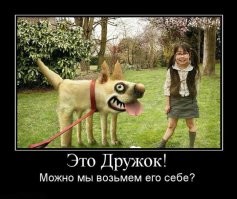 Дошколенок привел себе удивительного друга из леса и стал звездой интернета