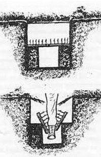 Демотиваторы: вывески, эмоции и неожиданности 