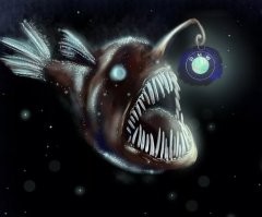 Смешные комментарии: искренние, забавные и жизненные