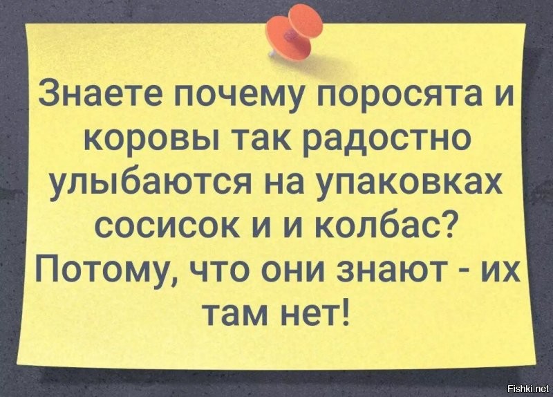 Демотиваторы: вывески, эмоции и неожиданности 