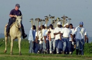 Понял, выезжаем.