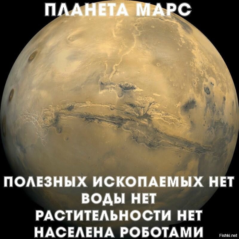 Спутник ОАЭ «Надежда» сегодня достигнет орбиты Марса, опередив корабли Китая и НАСА