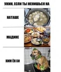 Смешные и познавательные картинки