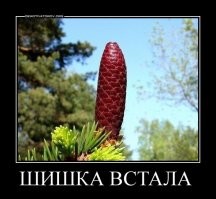А утренний стояк !