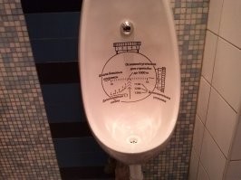 Смешные и познавательные картинки