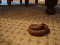 Анищенка, в своей резиденции: