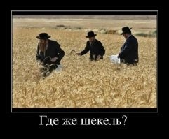 Во время учений солдат нашел редкую монету возрастом 1800 лет