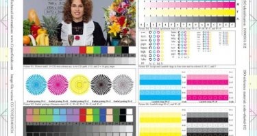 Что за штука: самые странные находки