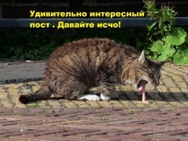 и тебе умного котика! Будь здоров!