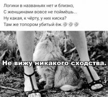 Смешные комментарии: искренние, забавные и жизненные